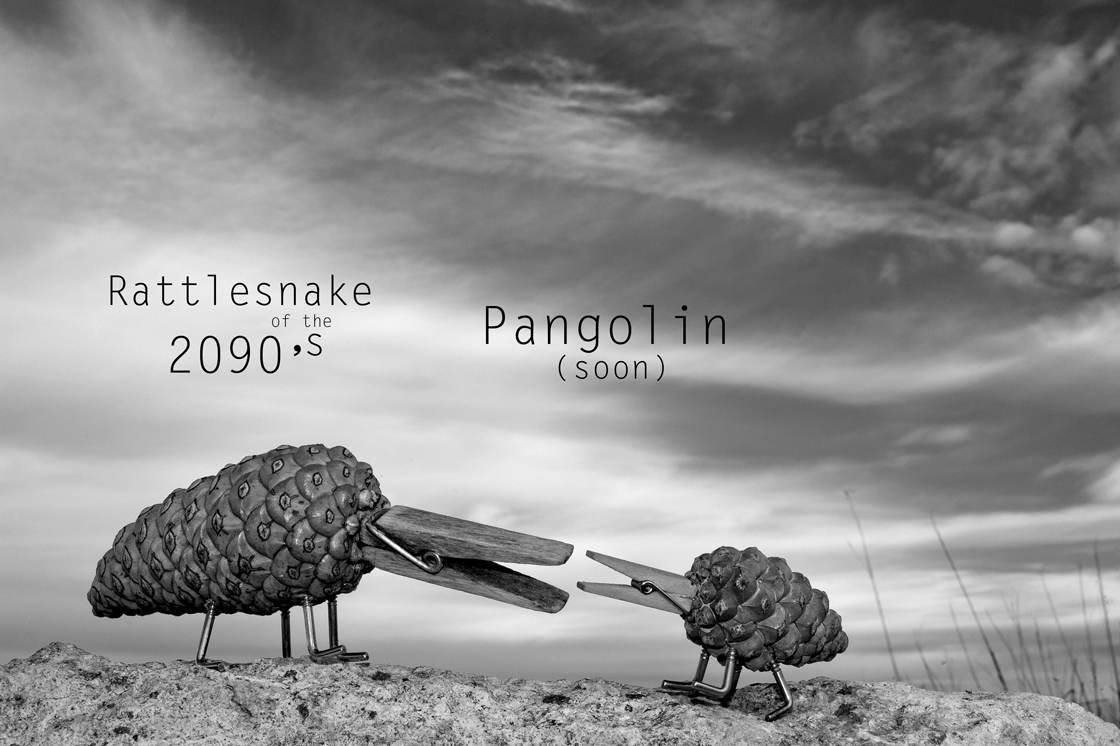 Pangolin (soon)